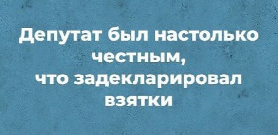 депутат был настолько честным что задекларировал взятки