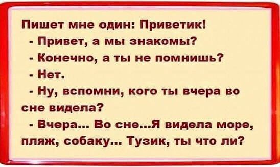 Пишет мне один Приветик Привет а мы знакомы Конечно а ты не помнишь Нет Ну вспомни кого ты вчера во сне видела Вчера 80 снеЯ видела море пляж собаку Тузик ты что ли