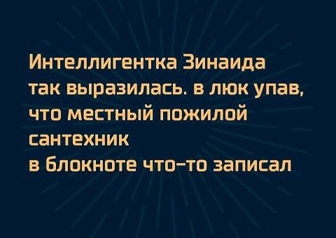 Интеллигентка Зинаида так выразилась в люк упав что местный пожилой сантехник в Блокнпте чтатп записал