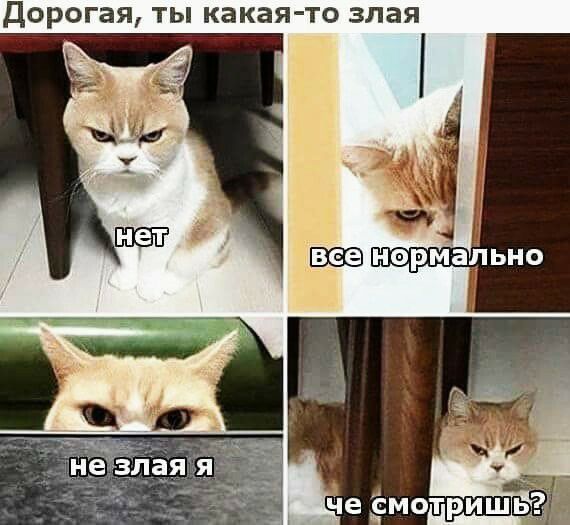 дОРОГЭЯ ТЫ какая то злая