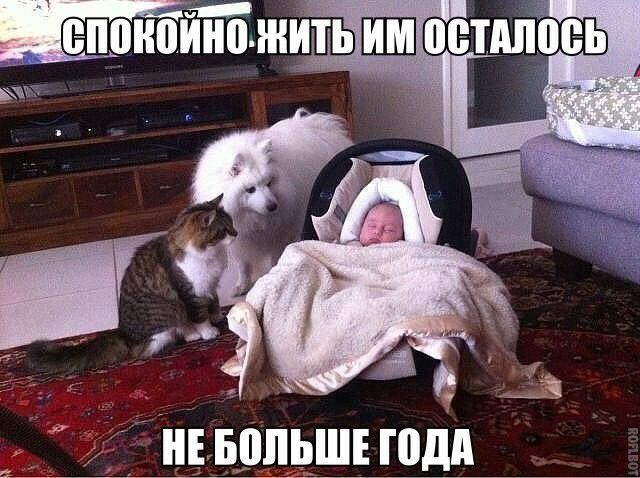 в _ _Ь 1 нвврпьші года