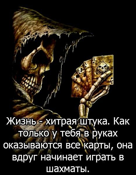 хитраяЁтука Как толькод у тебя яв руках оказываются всекарты она вдруг начинает играть в шахматы