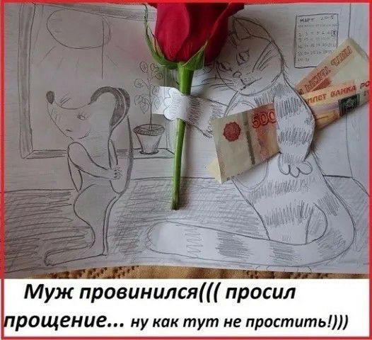Муж провинилсяШ просил рощение ну как тут не простить