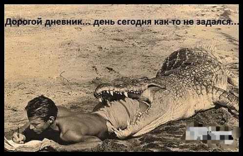 додатй дневник день сегодня как тр ив задал