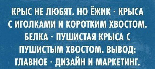 КРЫС НЕ ЛЮБЯТ НО ЁЖИК КРЫСА С ИГОЛКАМИ И КОРОТКИМ ХВОСТОМ БЕЛКА ПУШИСТАЯ КРЫСА С ПУШИСТЫМ ХВОСТОМ ВЫВОД ГЛАВНОЕ дИЗАЙН И МАРКЕТИНГ