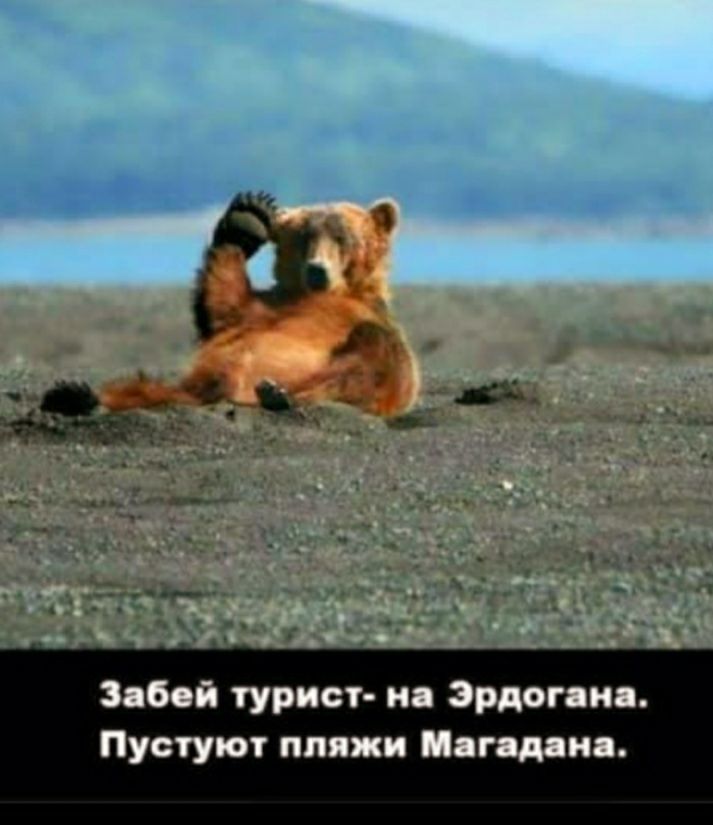Забей турист и Эрдогана Пустуют пляжи ягоди