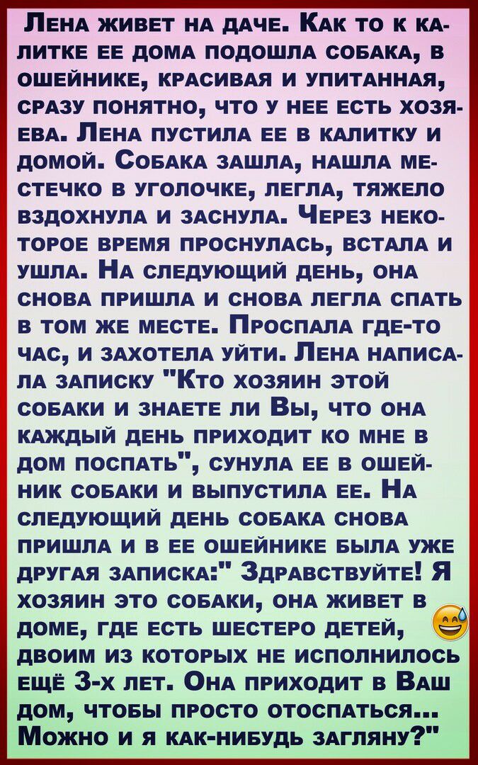 ЛЕНА живет НА дАче КАк то к КА литке ее домд подошлА совАкА в ошейнике КРАСИВАЯ и упитАННАя срАзу понятно что у нее есть хозя ЕВА Ленд пустилА ее в плиту и домой СОБАКА 3АшлА НАшлА ме стечко в уголочке леглА тяжело вздохнулА и 3АснуЛА Через неко торое время проснулАсь встАлА и ушлА НА следующий день он сноВА ПРИШЛА и СНОВА леглА сПАть в том же месте ПросПАлА где то ЧАС и ЗАХОТЕЛА уйти ЛЕНА НАПИСА 