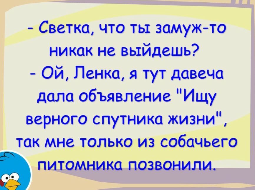 Светка что ты замужто никак не выйдешь Ой Пенка я тут давеча дала объявление Ищу верного спутника жизни так мне только из собачьего Ь питомника позвонили