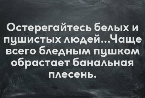 Остерегайтесь беАых и пушистых АюдейЧще всего бдедным пушком обрастает бансмьнсія тесень