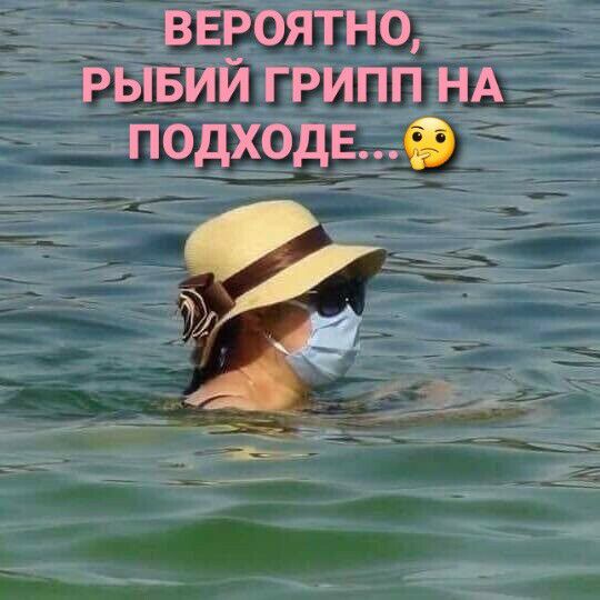 ВЕРОЯТНО РЫБИЙ ГРИПП НА подходыф