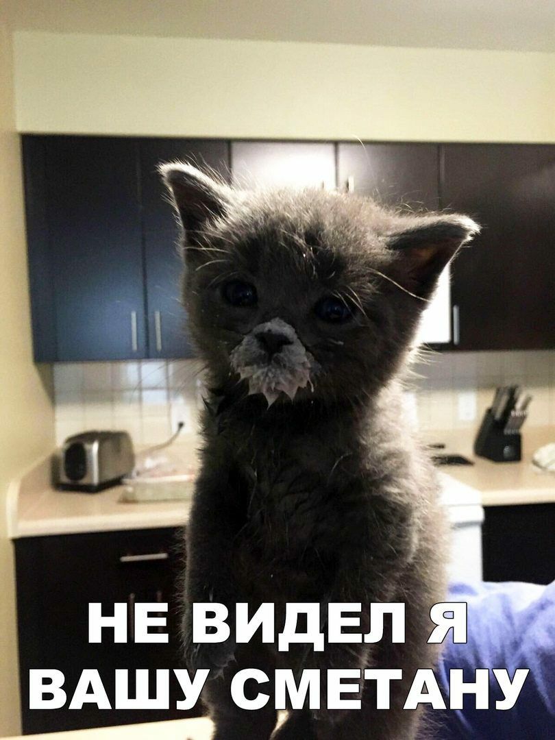 ВАШУ СМЕТАНУ