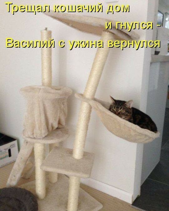 Греша л тиши МЛ от нулси Ва сили у ина вёрнулсч