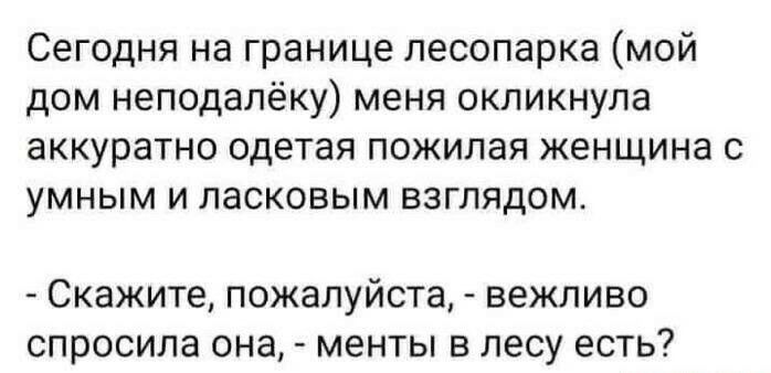 Сегодня на границе лесопарка мой дом неподалёку меня окликнула аккуратно одетая пожилая женщина с умным и ласковым взглядом Скажите ПОЖЭЛУЙСТЗ ВЭЖЛИВО спросила она МЕНТЫ В лесу ЕСТЬ