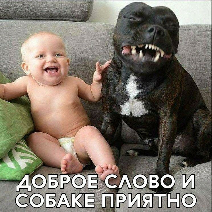 Бакё ртн