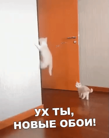 НОВЫЕ ОБОИ