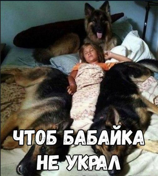 Чмрв БАБАИ тд не ук