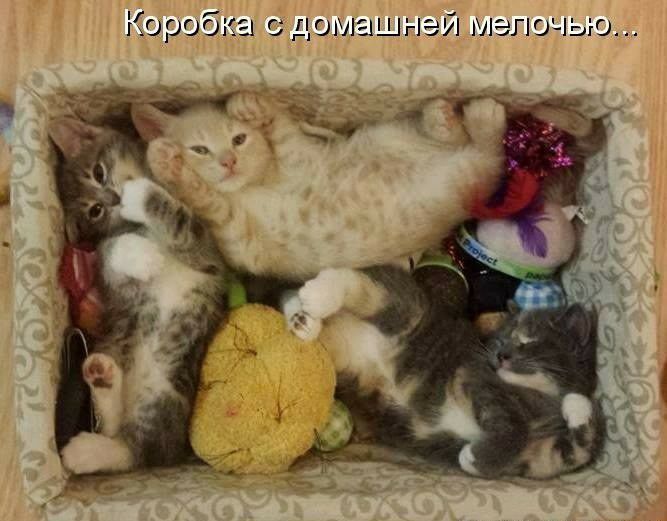Короб с домашней мелочью