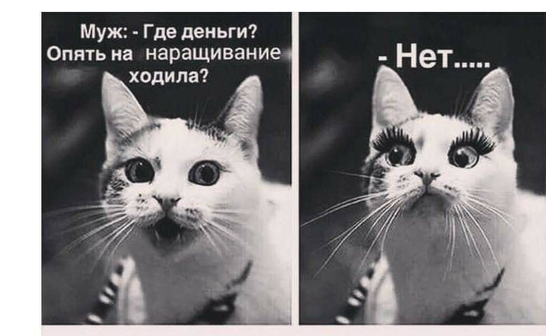 Муж Где деньги Опять на наращивание ходила