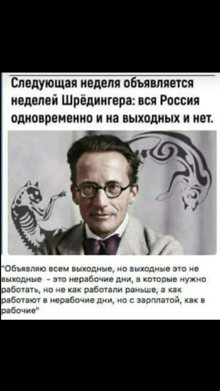 Следующая неделя объявляется неделей Шредингера вся Россия одновременно и на выходных и нет Объявляю всем выкодмые чо энкодер3 то не анкерные это нерабочие шт 3 котсхпые ужчо рабства о по как работали раньше 3 а работа оч нерабочие 1 м о защитой а е оаБоц е