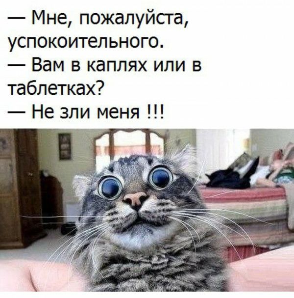 Мне пожалуйста успокоительного Вам в каплях или в таблетках Не зли меня