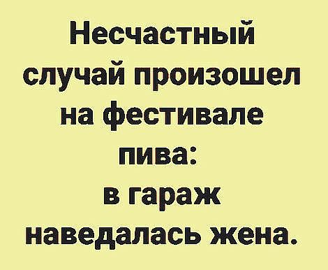 Несчастный случай произошел на фестивале пива в гараж наведалась жена