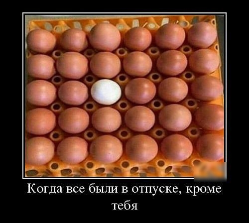 Когда все были в отпуске кроме тебя
