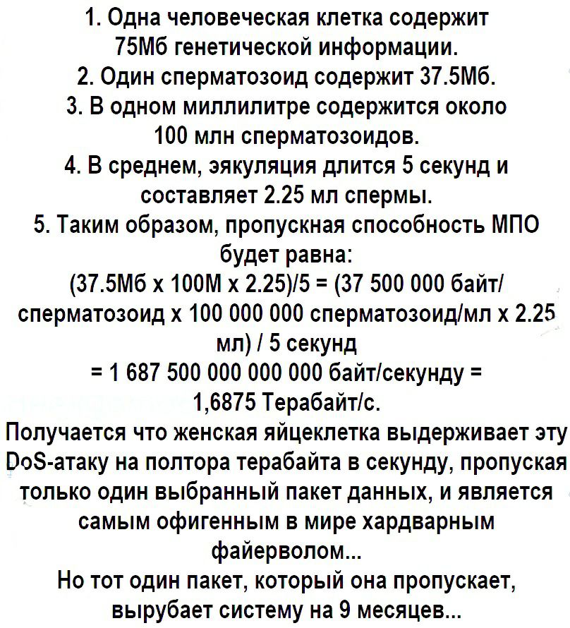 1 Одна человеческая клетка содержит 75Мб генетической информации 2 Один сперматозоид содержит 375Мб 3 В одном миллилитре содержится около 100 млн сперматозоидов 4 В среднем эякуляция длится 5 секунд и составляет 225 мл спермы 5 Таким образом пропускная способность МПО будет равна 375Мб х100М х 2255 37 500 000 байт сперматозоид х 100 000 000 сперматозоидмл х 225 мл 5 секунд 1 687 500 000 000 000 ба