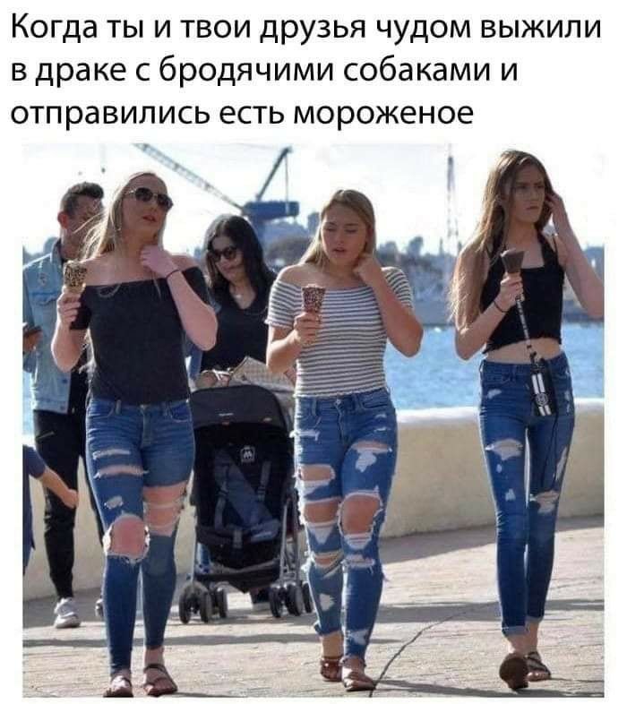 Когда ты и твои друзья чудом выжили в драке с бродячими собаками и отправились есть мороженое