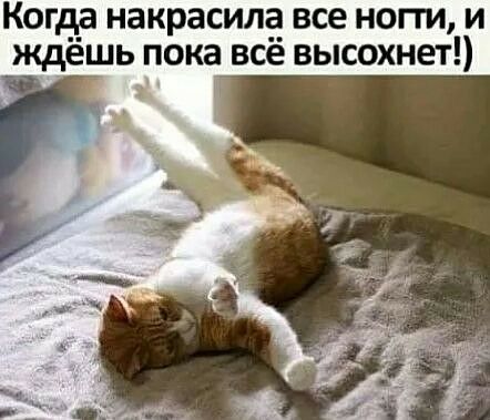 Когда накрасилё все нота и ждешь пока все высохнет