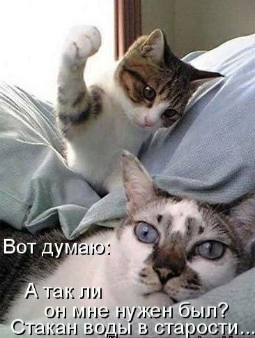 ТЗК ПИ ОН МНЭ
