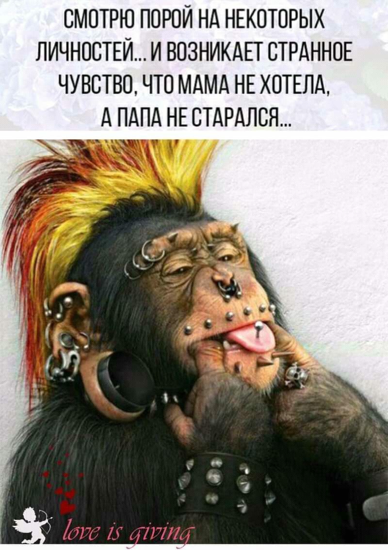 СМОТРЮ ПОРОЙ НА НЕКОТОРЫХ ЛИЧНОСТЕЙ И ВОЗНИКАЕТ ОТРАННОЕ ЧУВСТВО ЧТО МАМА НЕ ХОТЕЛА А ПАПА НЕ СТАРАЛСЯ
