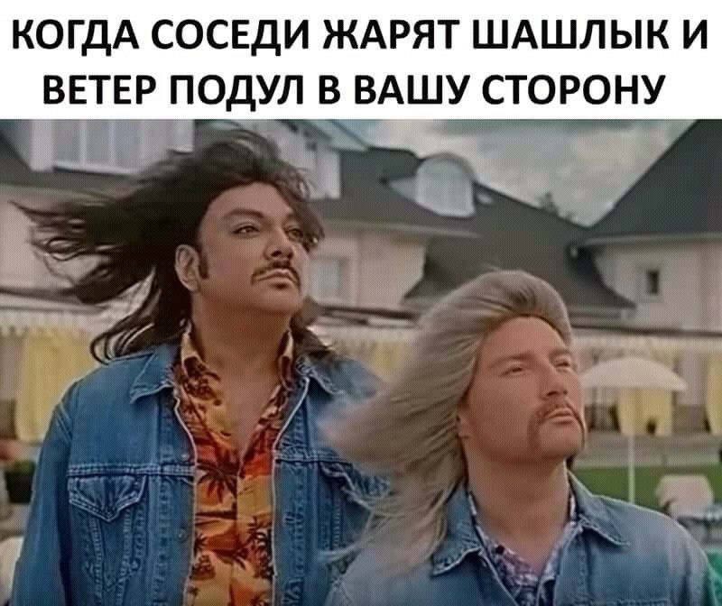 КОГДА СОСЕДИ ЖАРЯТ ШАШЛЫК И ВЕТЕР ПОДУЛ _ ВАШУ СТОРОНУ _