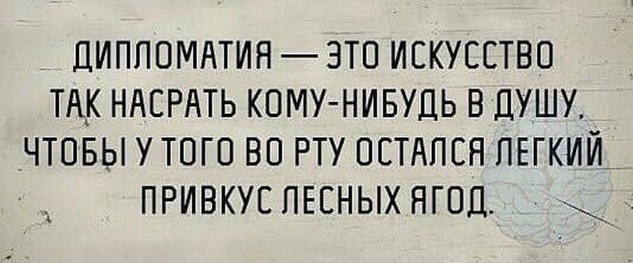 Дипломатика это. Искусство дипломатии. Искусство дипломатии это анекдот. Дипломатия это искусство так нагадить в душу. Дипломатия прикол.