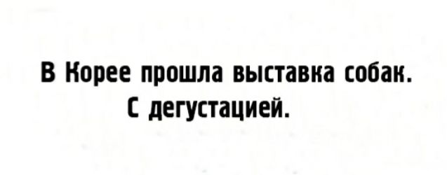 В Корее прошла выставка собак дегустацией