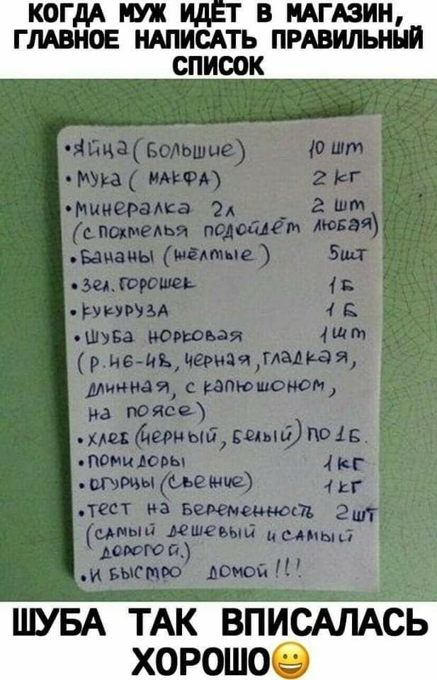 КОГДА Ш 1 В НАГАЗИН ГЛАВНОЕ НАПИСАТЬ ПРАВИЛЬНЫЙ СПИСОК ШУБА ТАК ВПИСАЛАСЬ ХОРОШОЁЭ