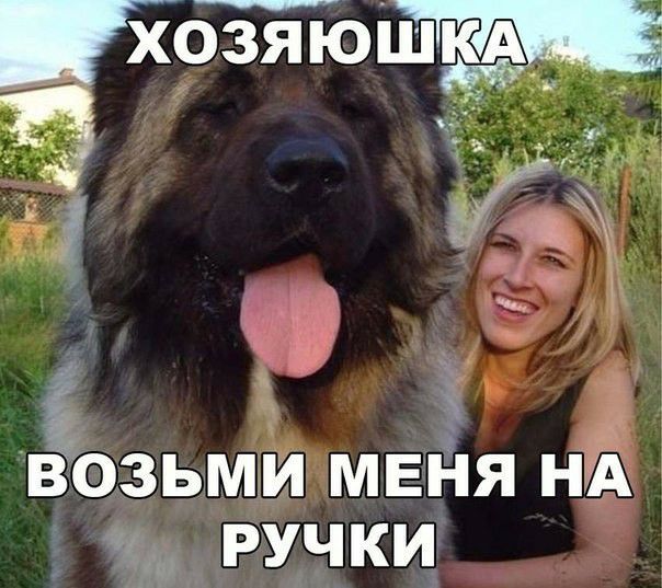 ВОЗЬМЙ МЕНЯ НА РУЧКИ