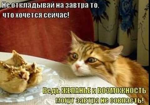 ЕВЛШПЯЦЫВЯИ на 338 10 КОНЕЦ сеичас