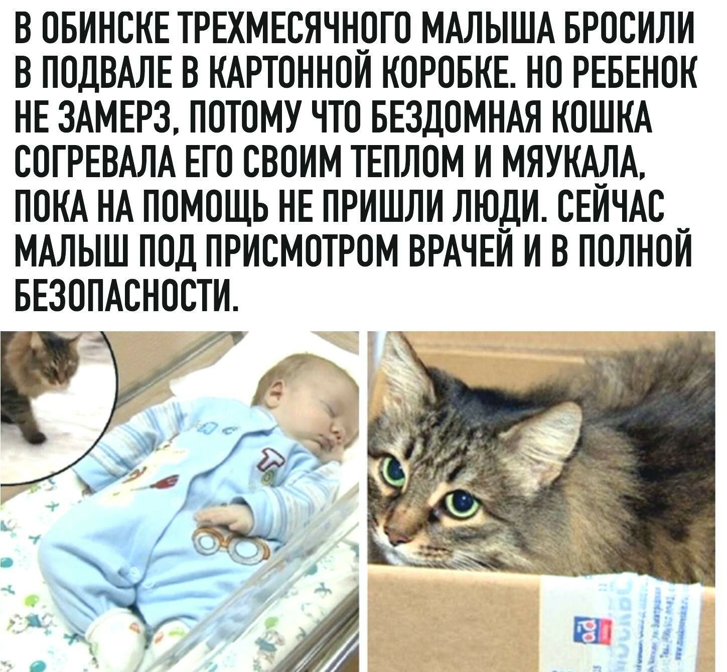 В ОБИНСКЕ ТРЕХМЕСЯЧНОГО МАЛЫША БРООИЛИ В ПОДВАЛЕ В КАРТОННОИ КОРОБКЕ НО РЕБЕНОК НЕ 3АМЕР3 ПОТОМУ ЧТО БЕЗДОМНАЯ КОШКА СОГРЕВАЛА ЕГО СВОИМ ТЕПЛОМ И МЯУКА_ЛА ПОКА НА ПОМОЩЬ НЕ ПРИШЛИ ЛЮДИ СЕИЧАО _ МАЛЫШ ПОД ПРИОМОТРОМ ВРАЧЕИ И В ПОЛНОИ БЕЗОПАСНОСТИ _ д _