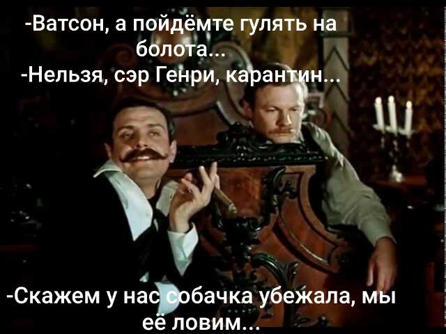 Ватсон а пой ёмте гулять на бдл 1 Нельзя сэр Гет_прьи ан н Скажем у набачка убежала ее ловим