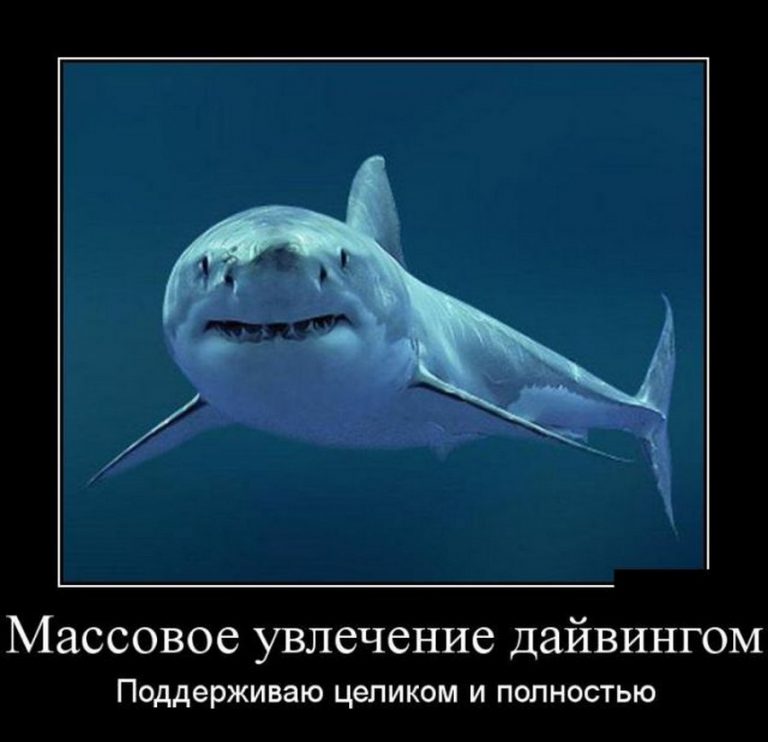 Массовое увлечение дайвингом поддерживаю целиком И ПОЛНОСТЬЮ
