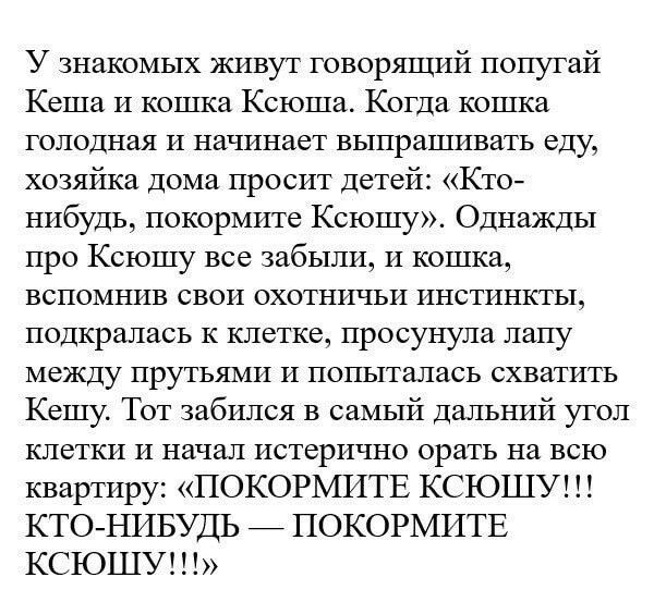 У знакомых живут говорящий попугай Кеша И кошка Ксюша Когда кошка голодная и начинает выпрашивать еду хозяйка Дома просит детей Кто нибудь покормите Ксюшу Однажды про Ксюшу все забыли и кошка вспомнив свои охотничьи инстинкты подкралась к клетке просунула лапу между прутьями и попыталась схватить Кешу Тот забился в самый Дальний угол клетки и начал истерично орать на всю квартиру ПОКОРМИТЕ КСЮШУ К