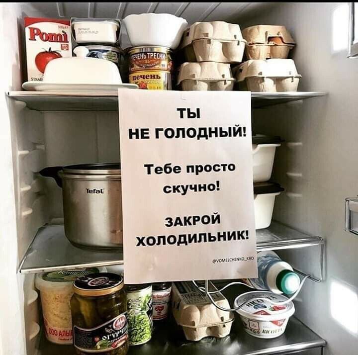 скучно здкгой холодильни