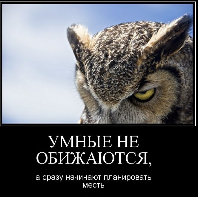 УМНЫЕ НЕ ОБИЖАЮТСЯ а сразу начинают планировать МЭСТЬ