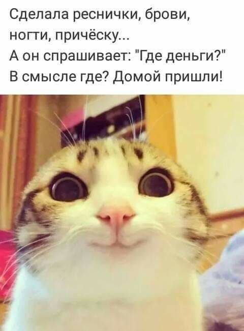 Сделала реснички брови ногги причёску А он спрашивает Где деньги В смысле где домой пришли