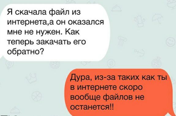 Я скачала файл из интернетаа он оказался мне не нужен Как теперь закачать его обратно Дура изза таких как ты в интернете скоро вообще файлов не останется