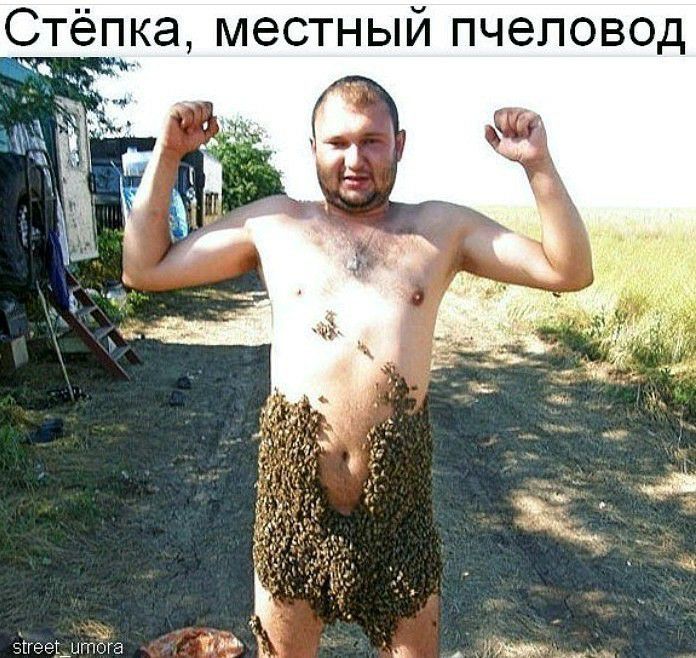 пка местный пчеловод еТггеештбга д Ь в 1У_