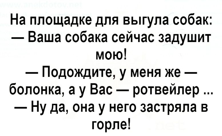 На площадке для выгула собак Ваша собака сейчас задушит мою Подождите у меня же болонка а у Вас ротвейпер Ну да она у него застряла в горле