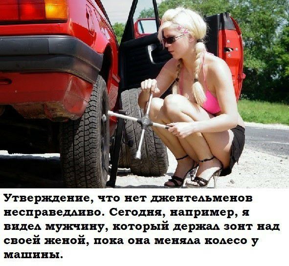 Утверждение что нет джентельменов несправедливо Сегодня например я видел мужчину который держал зонт над своей женой пока она меняла колесо у машины