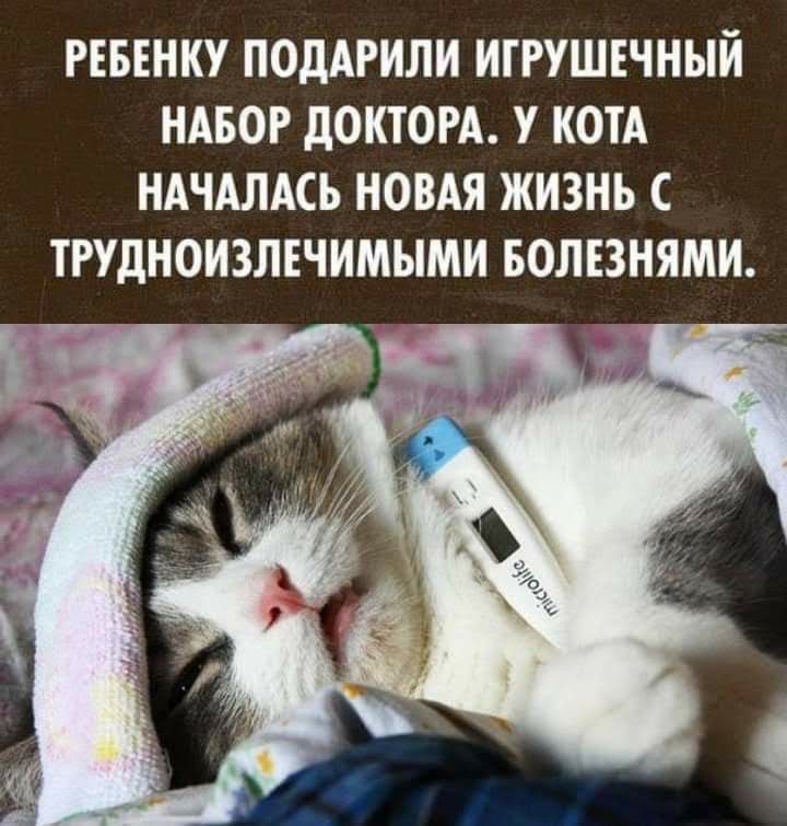 РЕБЕНКУ ПОДАРИЛИ ИГРУШЕЧНЫЙ НАБОР дОКТОРА У КОТА НАЧАЛАСЬ НОВАЯ ЖИЗНЬ ТРУДНОИЗЛЕЧИМЫМИ БОЛЕЗНЯМИ