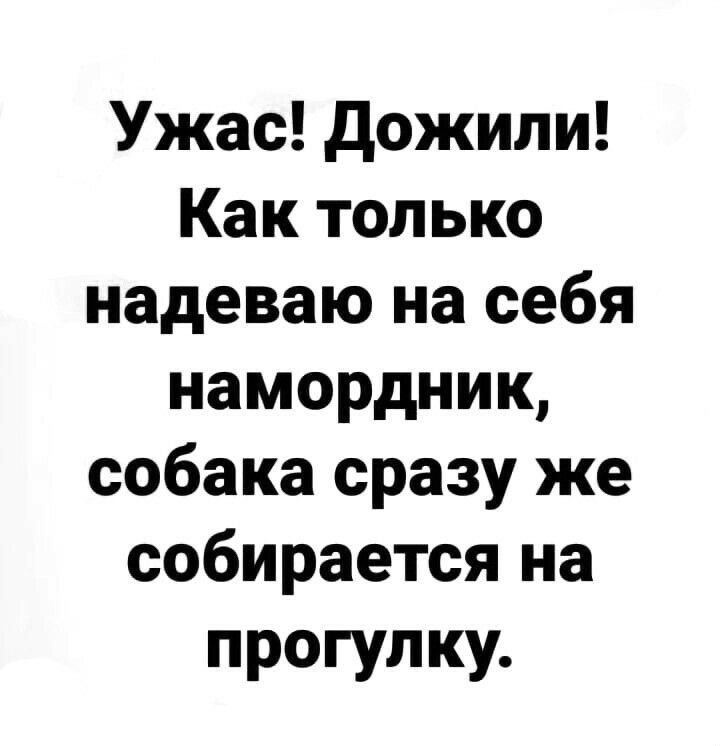 Ужас дожили Как только надеваю на себя намордник собака сразу же собирается на прогулку
